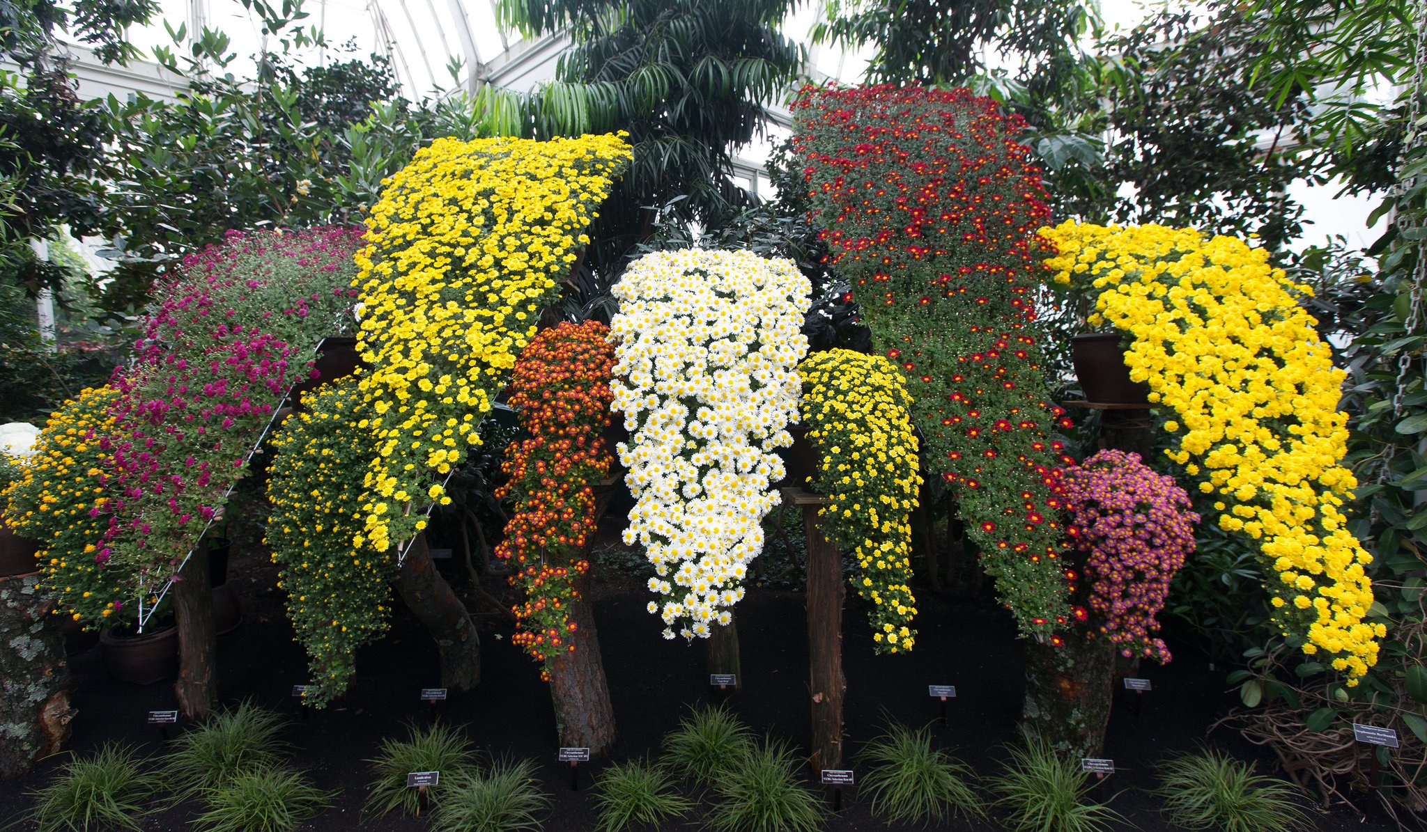 🏛️ 미야코노조 시마즈 저택(미야코노조 시마즈테이) 이미지 11